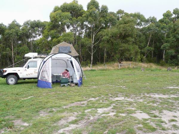 Camping Hamington Rd, 8km landinwaards vanaf Airys Inlet