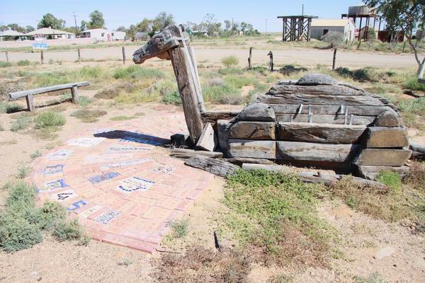 Kameel als zonnewijzer, het is 11 uur