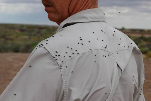 We hebben besloten maar niet op deze rest area te kamperen, het was er nogal druk...
Een dag later bleek de track naar Lake Eyre zelf open te zijn en hebben we daar leuk gekampeerd, maar ook veel vliegen ;-(