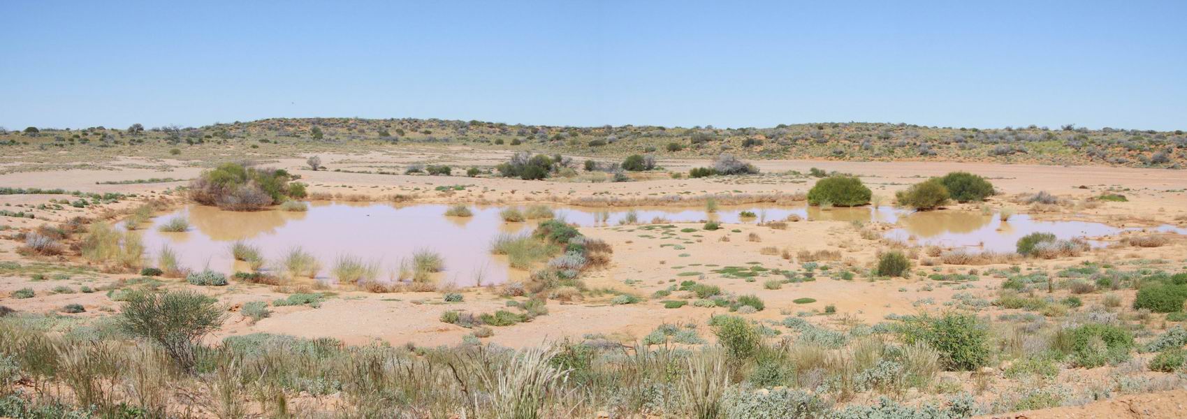 Niet alleen is de outback groener dan ooit, ook zijn er nog op diverse plaatsen meertjes.
