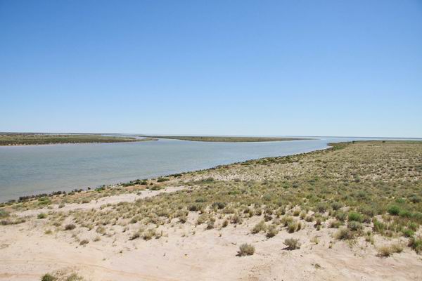 Lake Caribarrawirracanna enkele kilometers van de track af, prima picknick (en kampeer) plek.
Behalve dan de enorme hoeveelheid vliegen, we hebben binnen gegeten.