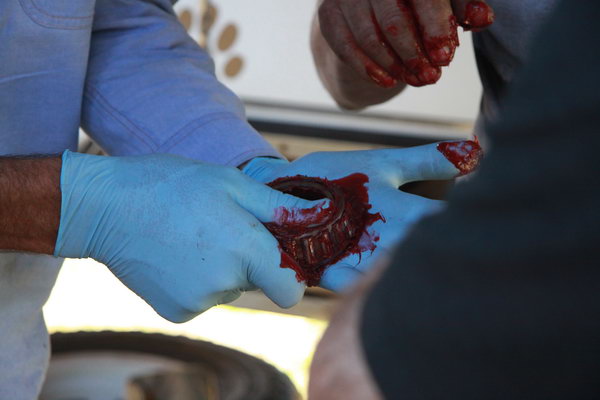 Het repacken van de bearing nadat deze met benzine is schoongemaakt en gecontroleerd.