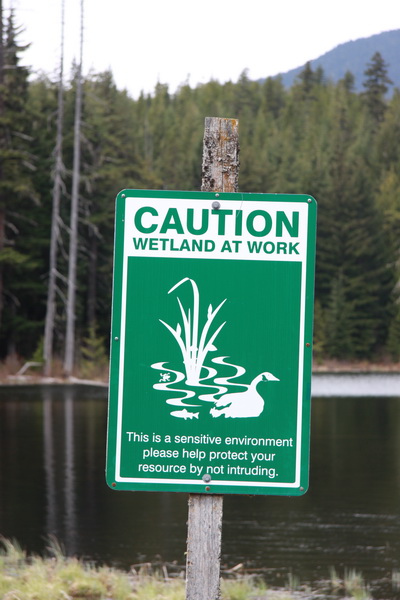 Wetland at work