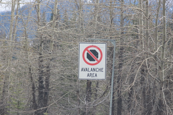 Avalanche area Iets verder langs de weg ook de resten van een sneeuw lawine
