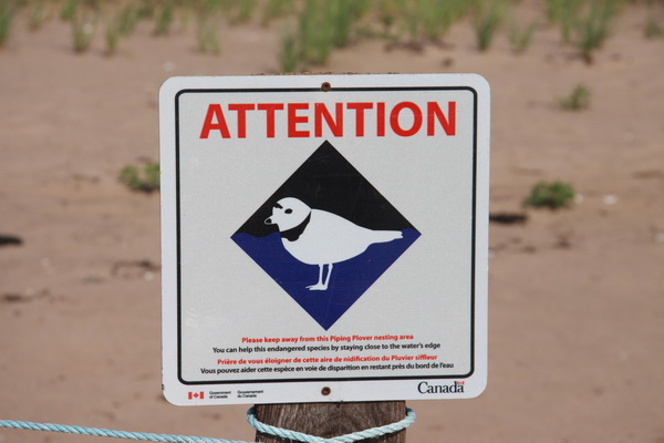  Beschermd gebied voor de Piped Plover