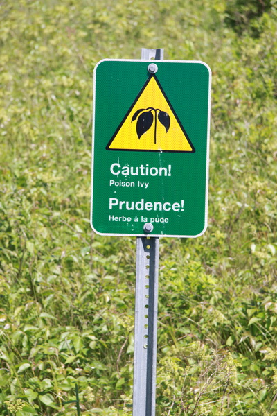 Waarschuwing voor Poison Ivy