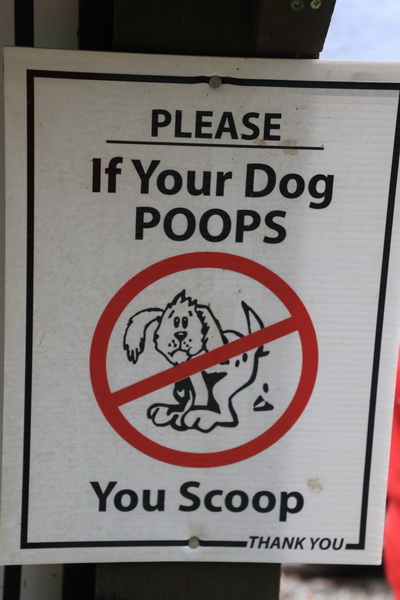 AUB als uw hond poept, ruim het op