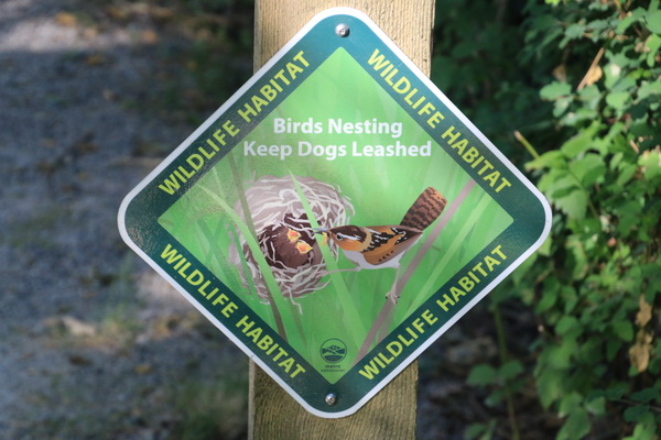 Vogel broedplaats, hou honden aangelijnd