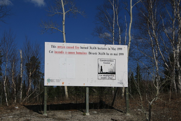 36.000 ha bosbrand veroorzaakt door iemand in 1999