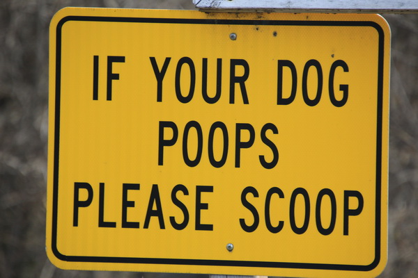 Achter je hond opruimen