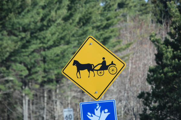 Paard en wagen op de (snel)weg