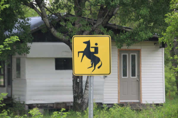 Overstekende (steigerende) paarden