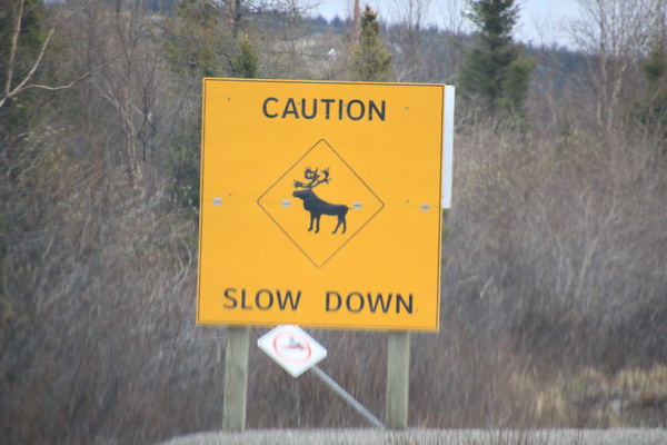 Waarschuwing voor Caribou