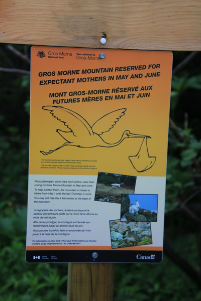 Gros Morne Mountain is gereserveerd voor 'expectant mothers' in mei en juni
De wandeling de berg op is dan gesloten