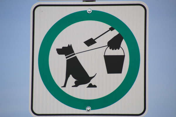 Opruimen achter je hond