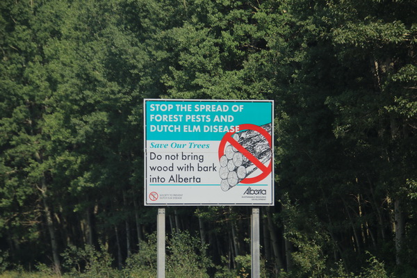 Stop verspreiding onkruid en Dutch Elm ziekte, breng geen hout Alberta in 