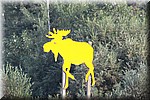 Moose