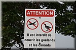 Vogels en eenden niet voeren