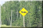 Waarschuwing paard en wagen