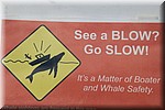 Zie je een walvis blow, verminder (boot) snelheid