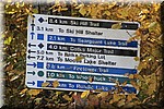X-Country ski trails