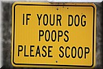 Achter je hond opruimen
