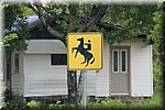 Overstekende (steigerende) paarden