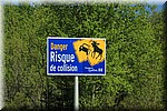 Gevaar voor botsing met Eland