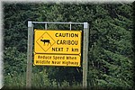 Waarschuwing; Caribou